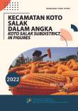 Koto Salak Subdistrict In Figures 2022