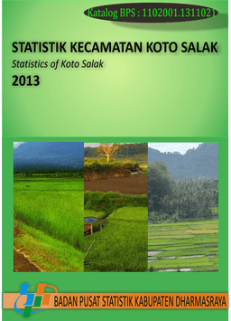 Statistik Kecamatan Koto Salak 2013