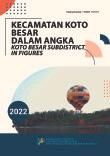 Koto Besar Subdistrict In Figures 2022