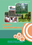 IX Koto Dalam Angka 2011